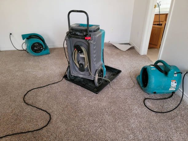 Best Fire Damage Restoration  in Prairie Grove, AR