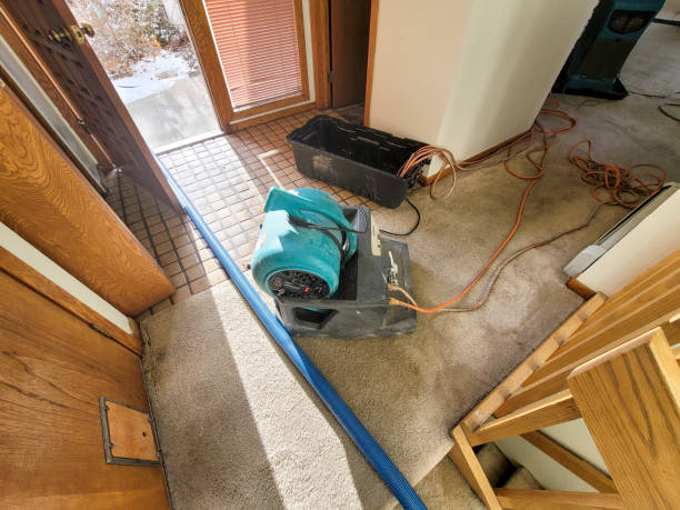Best Sewage cleanup and water damage restoration  in Prairie Grove, AR