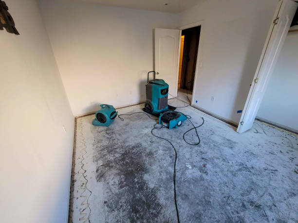 Best Carpet water damage restoration  in Prairie Grove, AR