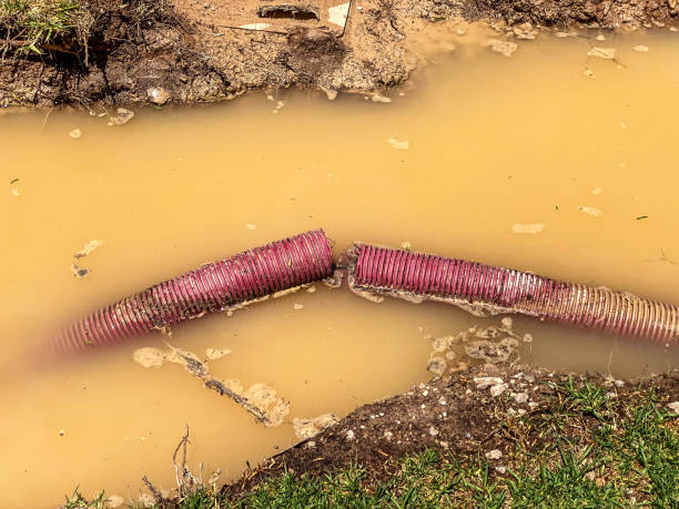 Best Water damage restoration cost  in Prairie Grove, AR
