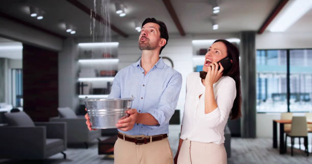 Best Water damage contractors near me  in Prairie Grove, AR